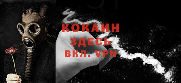 индика Богородицк