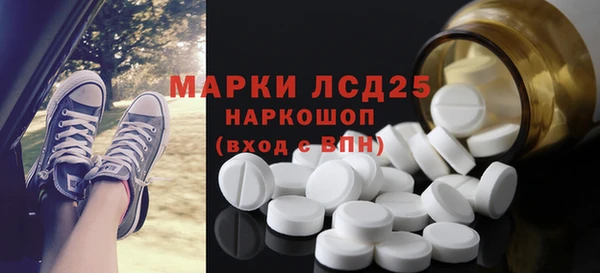 индика Богородицк