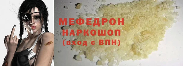 индика Богородицк