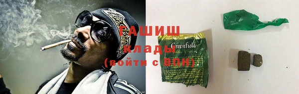 индика Богородицк