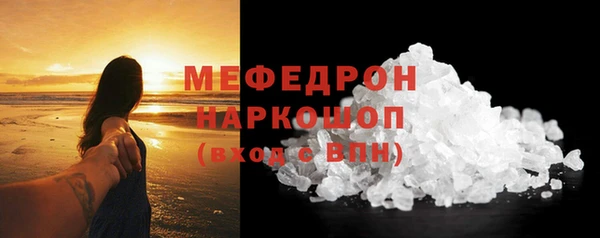индика Богородицк