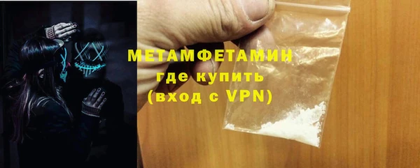 индика Богородицк