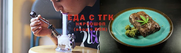 индика Богородицк