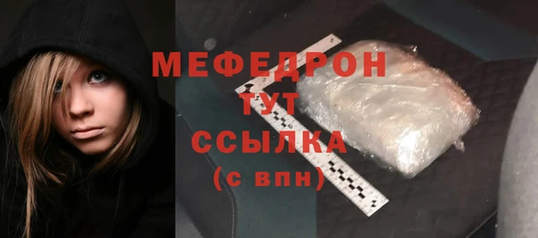 индика Богородицк