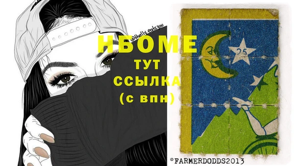 индика Богородицк
