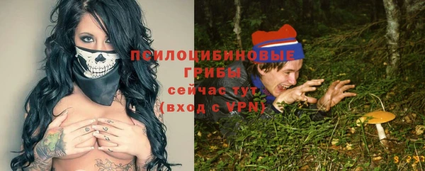 индика Богородицк