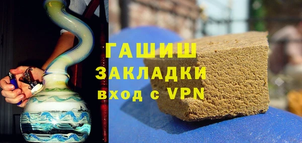 индика Богородицк