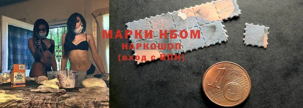 индика Богородицк