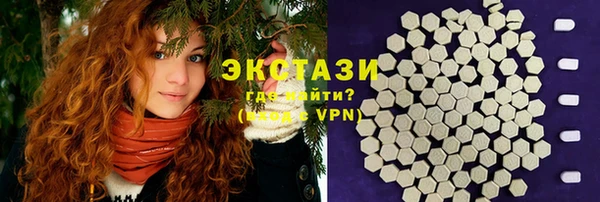 индика Богородицк