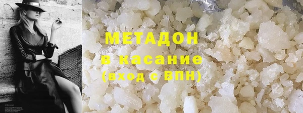 индика Богородицк