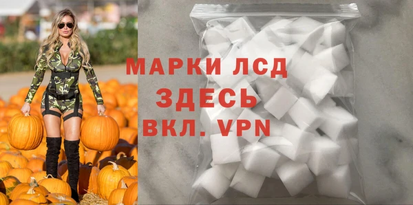 индика Богородицк
