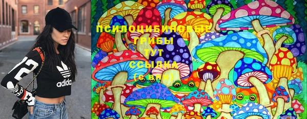 индика Богородицк