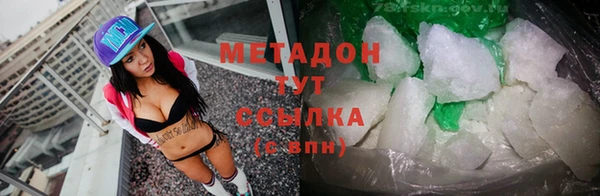 индика Богородицк