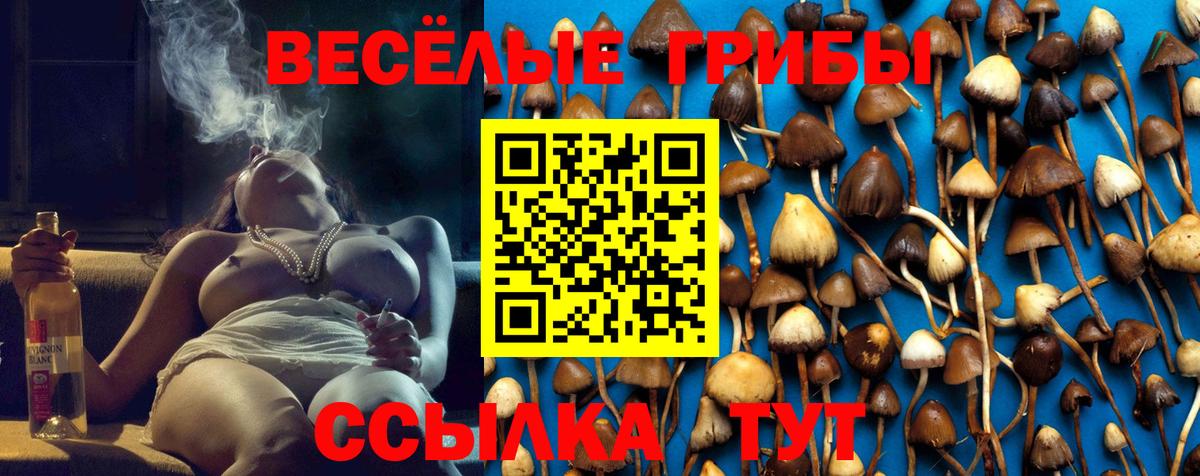 Псилоцибиновые грибы Magic Shrooms Дагестанские Огни
